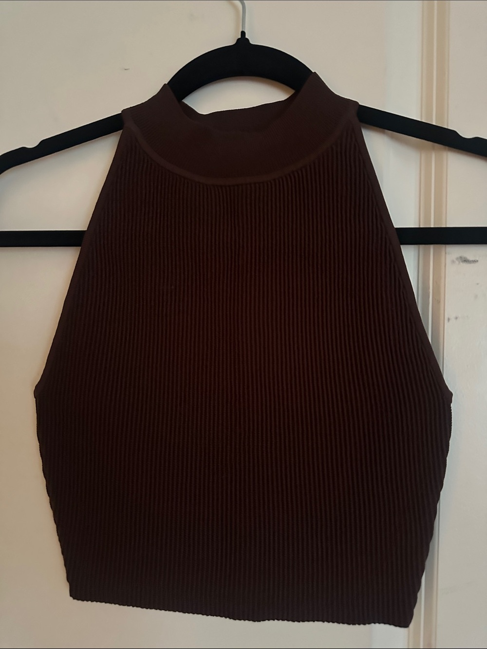 : Aritzia Babaton Ribbed by Mock Neck Crop Top - Brown